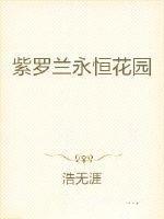 紫罗兰永恒花园第二季