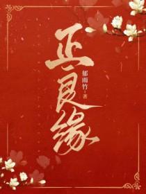 正良缘笔趣阁