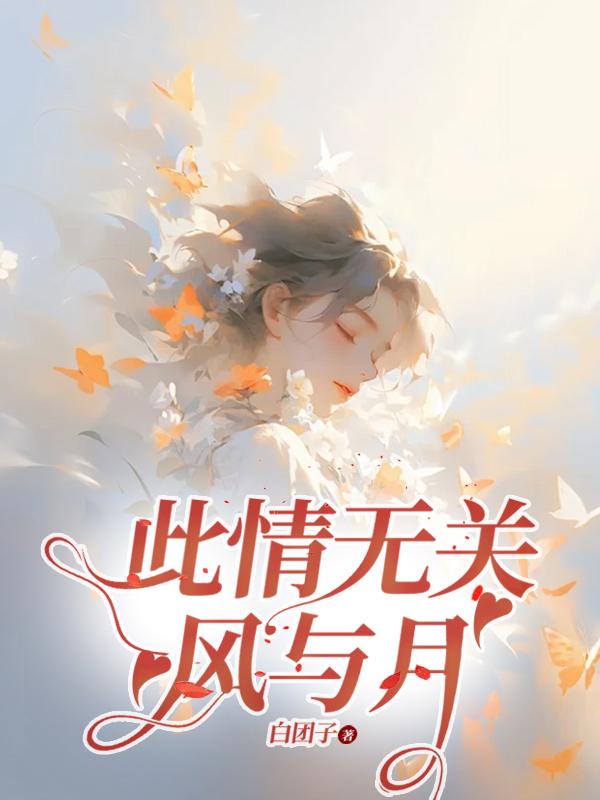 此情无关风与月林婉全文免费阅读