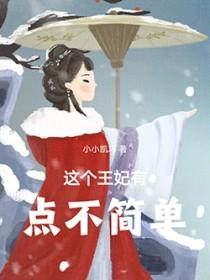 这个王妃有点野全文免费阅读