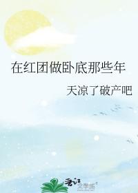 海贼王红发海贼团参加婚礼