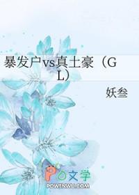 暴发户vs真土豪gl