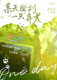 捡到一只狗崽