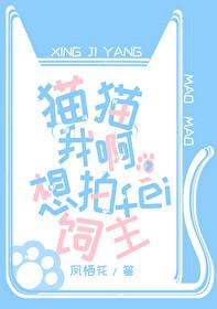 我要拍猫咪照片