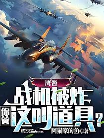 鹰酱的飞机被击落