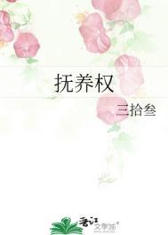 抚养权转让协议书范本