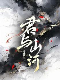 与君共江山