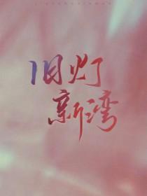 旧灯新湾宝书网官方网站阅读
