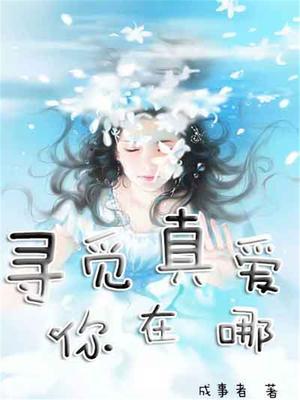 寻找真爱之旅在线观看