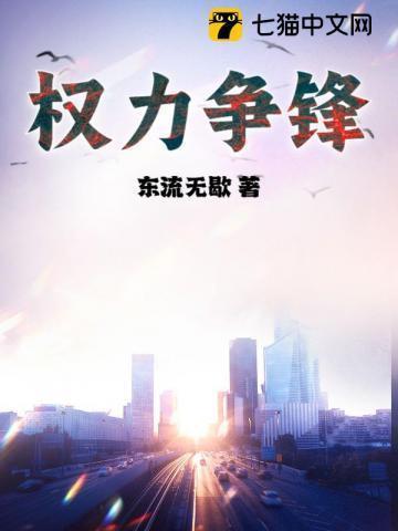 权力争锋全集