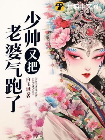 少帅又把老婆气跑了的