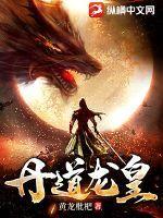 龙丹至尊