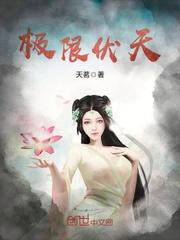 极限伏天TXT全集