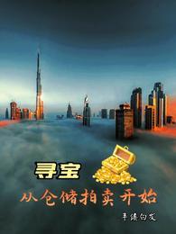 寻宝从仓储拍卖开始 第562章