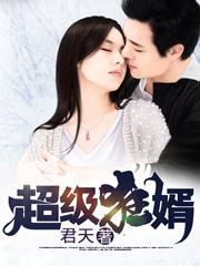 超级狂婿1到100集