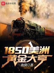 混在19世纪美利坚