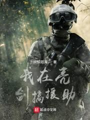 亮剑从苍云岭开始援助
