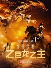 英雄无敌之巨龙之主百度