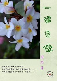 遇见你就荡漾全文免费阅读