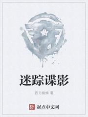 迷踪谍影百科