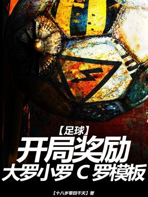 足球大罗小罗是谁