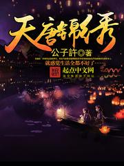 天唐锦绣简介