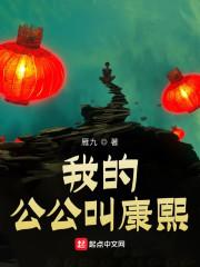 我的公公叫康熙 免费阅读软件