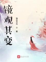 镜观其变下书