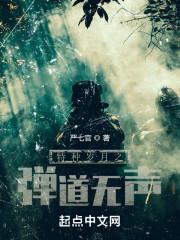 特种岁月作者是谁