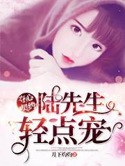 陆先生的夺心妻约书名是什么