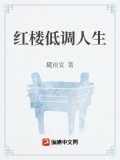 红楼低调人生作者随雨安