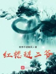 红楼之琏二爷的逆袭馨宁