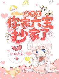 宫先生你家六宝抄家了免费
