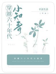 穿越六十年代小知青无弹窗