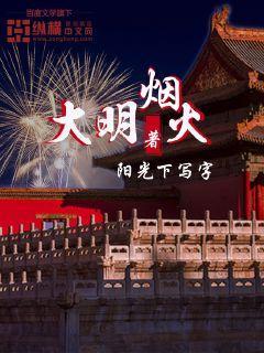 大明烟火小视频大全