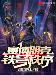 赛博朋克铁穹秩序TXT
