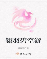 翎羽碧空游