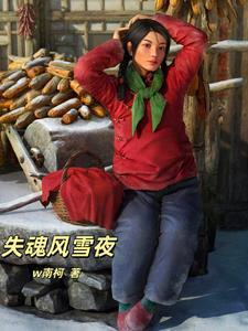 百味人生第一部:失魂风雪夜