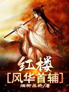 红楼:风华首辅